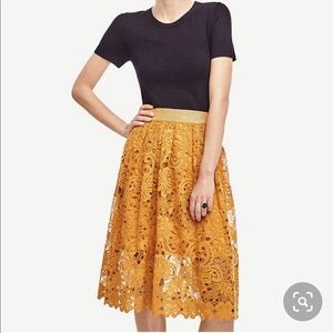 Ann Taylor Sun Kiss Floral Lace Overlay Skirt